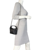 Chanel CC Chain Hobo Mini_IMG_6893.jpeg