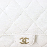 Chanel CC Clutch on Chain_IMG_4914.jpg