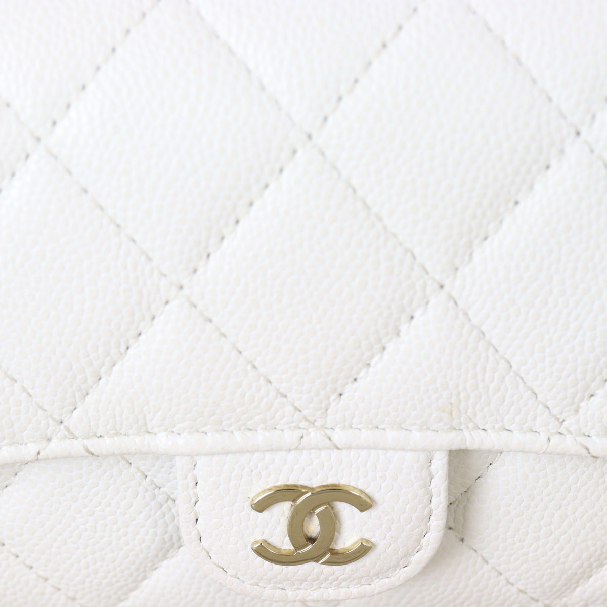 Chanel CC Clutch on Chain_IMG_4914.jpg