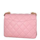 Chanel CC Coco First Flap Small_IMG_9697.jpeg