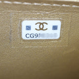 Chanel CC Crystal Card Holder on Chain_IMG_1903.jpg