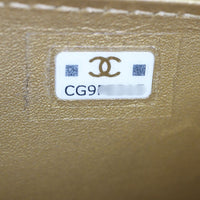 Chanel CC Crystal Card Holder on Chain_IMG_1903.jpg
