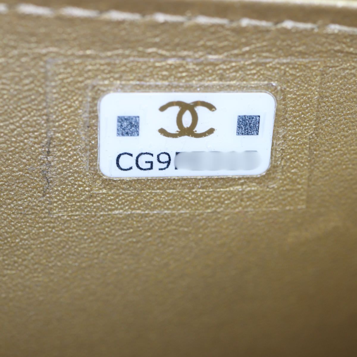 Chanel CC Crystal Card Holder on Chain_IMG_1903.jpg