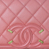 Chanel CC Filigree Small Flap Bag_IMG_9961.jpg