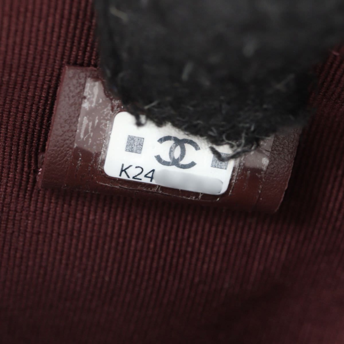 Chanel CC Hobo Clutch with Chain_3.jpg
