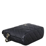 Chanel CC Hobo Clutch with Chain_IMG_3045.jpeg