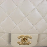 Chanel CC Single Flap Medium Vintage_IMG_5799.jpg
