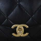 Chanel CC Top Handle Flap Bag_IMG_1974.jpg