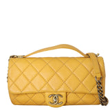 Chanel CC Top Handle Flap Bag_IMG_8173.jpeg