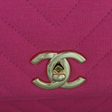 Chanel CC Trendy Chevron Jersey_IMG_6545.jpg
