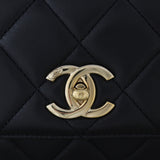 Chanel CC Trendy Small_IMG_0172.jpg