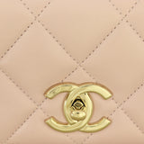 Chanel CC Trendy Small_IMG_9889.jpg