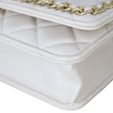 Chanel Chain Around Wallet on Chain_IMG_6577.jpeg