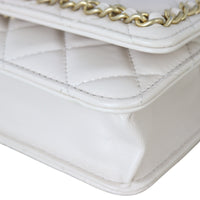 Chanel Chain Around Wallet on Chain_IMG_6577.jpeg