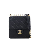Chanel Chic Pearls Flap Mini Bag_IMG_1062.jpeg