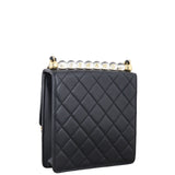Chanel Chic Pearls Flap Mini Bag_IMG_1063.jpeg