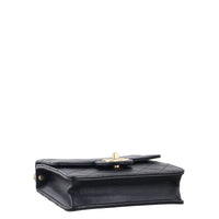 Chanel Chic Pearls Flap Mini Bag_IMG_1064.jpeg