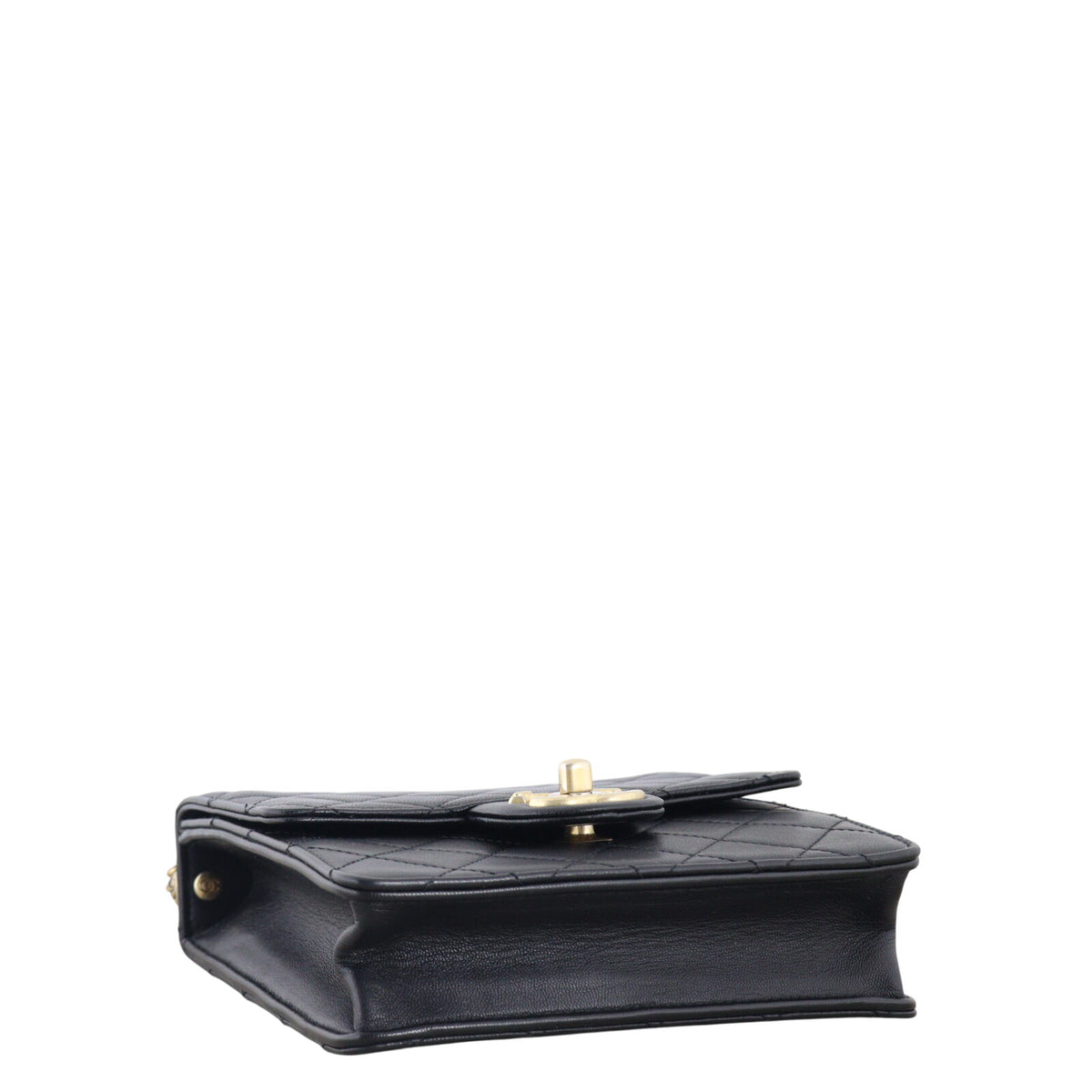 Chanel Chic Pearls Flap Mini Bag_IMG_1064.jpeg