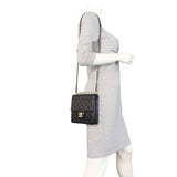 Chanel Chic Pearls Flap Mini Bag_IMG_1109.jpeg