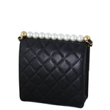Chanel Chic Pearls Flap Small Bag_IMG_0877.jpeg
