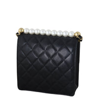 Chanel Chic Pearls Flap Small Bag_IMG_0877.jpeg