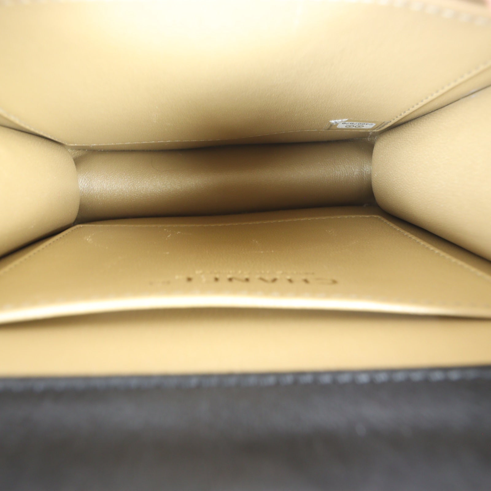Chanel Chic Pearls Flap Small Bag_IMG_0882.jpg