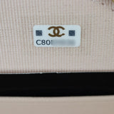 Chanel Chic Riviera Top Handle Vanity Case Mini_IMG_9399.jpg