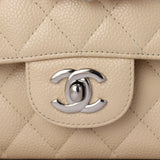 Chanel Classic Double Flap Medium Caviar_IMG_4296.jpg