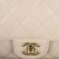 Chanel Classic Double Flap Medium Caviar_IMG_6592.jpg