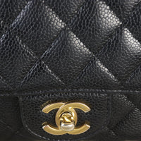 Chanel Classic Double Flap Medium Caviar_IMG_6870.jpg