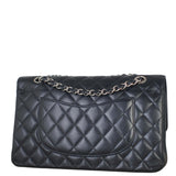 Chanel Classic Double Flap Medium Caviar__DSC5310.jpeg