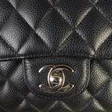 Chanel Classic Double Flap Medium Caviar__DSC5312.jpg