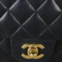 Chanel Classic Double Flap Medium Lambskin (black)_IMG_9869.jpg
