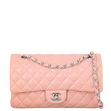 Chanel Classic Double Flap Medium Lambskin _IMG_4434.jpeg