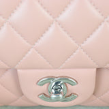 Chanel Classic Double Flap Medium Lambskin _IMG_4442.jpg