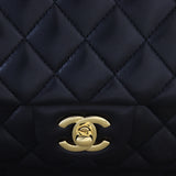 Chanel Classic Double Flap Medium Lambskin_IMG_0644.jpg