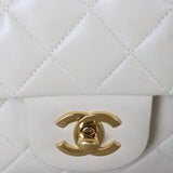 Chanel Classic Double Flap Medium Lambskin_IMG_2996.jpg