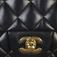 Chanel Classic Double Flap Medium Lambskin_IMG_8982.jpg