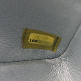 Chanel Classic Flap Mini Rectangular Bag Lambskin_IMG_3990.jpg