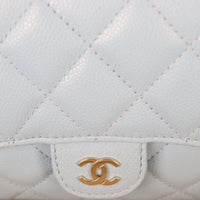 Chanel Classic Flap Phone Holder on Chain_IMG_1893.jpg