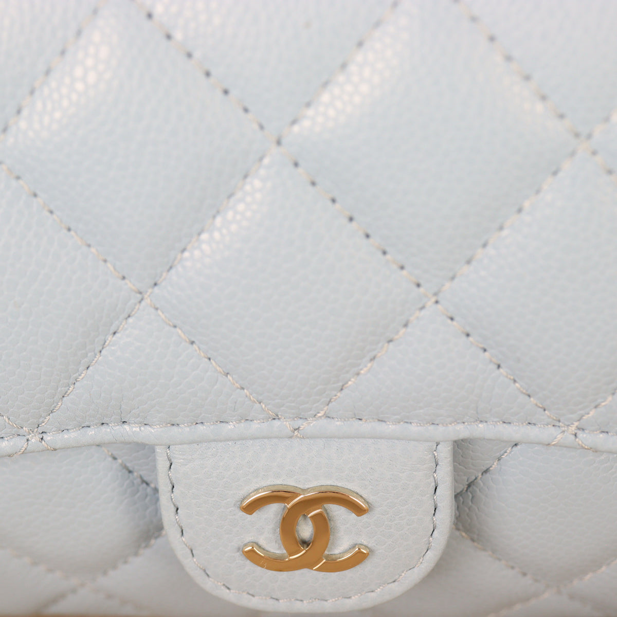 Chanel Classic Flap Phone Holder on Chain_IMG_1893.jpg