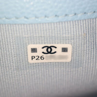 Chanel Classic Flap Phone Holder on Chain_IMG_1895.jpg