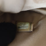 Chanel Classic O-Case Mini_IMG_6933.jpg