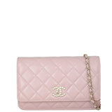 Chanel Classic Wallet on Chain Pearl_IMG_5756.jpeg