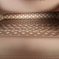 Chanel Classic Wallet on Chain Pearl_IMG_5763.jpg