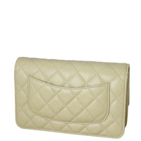 Chanel Classic Wallet on Chain_IMG_0886.jpg