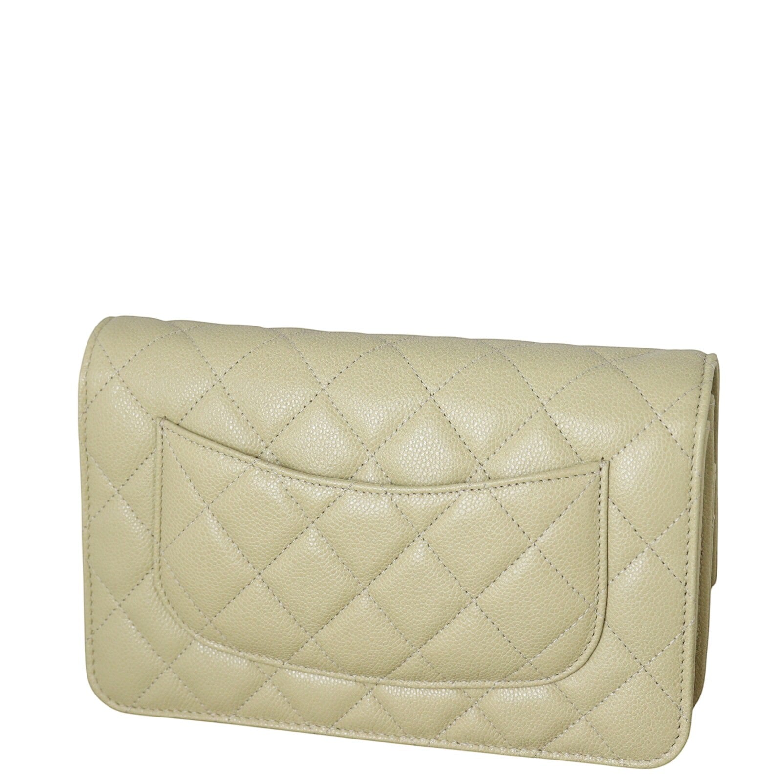 Chanel Classic Wallet on Chain_IMG_0886.jpg
