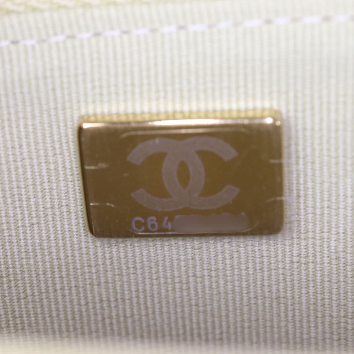 Chanel Classic Wallet on Chain_IMG_0891.jpg