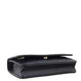 Chanel Classic Wallet on Chain_IMG_0969.jpeg