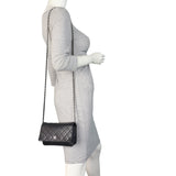 Chanel Classic Wallet on Chain_IMG_1728.jpeg